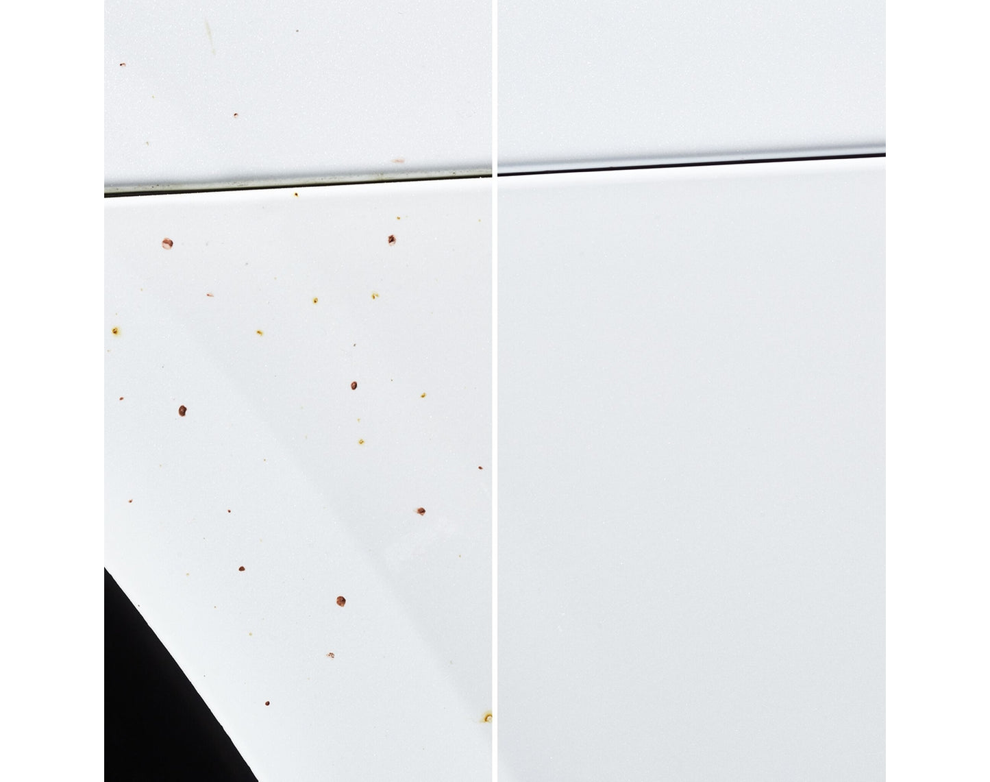 Sonax FlugrostEntferner, säurefrei (5 Liter)