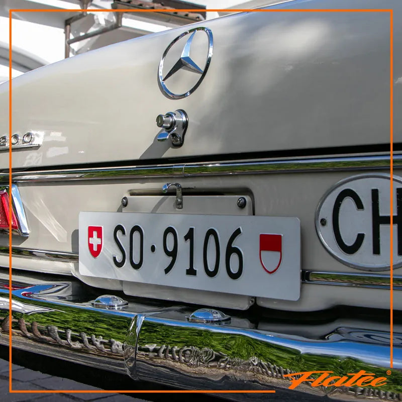 Flatee Montageplatte für Fahrzeugheck - 10 x 49 cm – Edelstahl