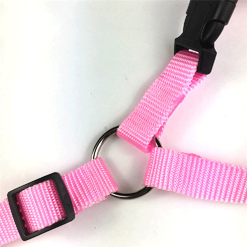 Leine rosa Sicherheitsgurt